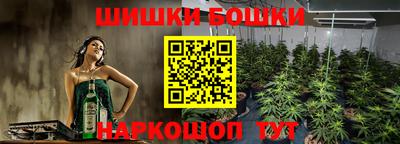 скорость Лесосибирск