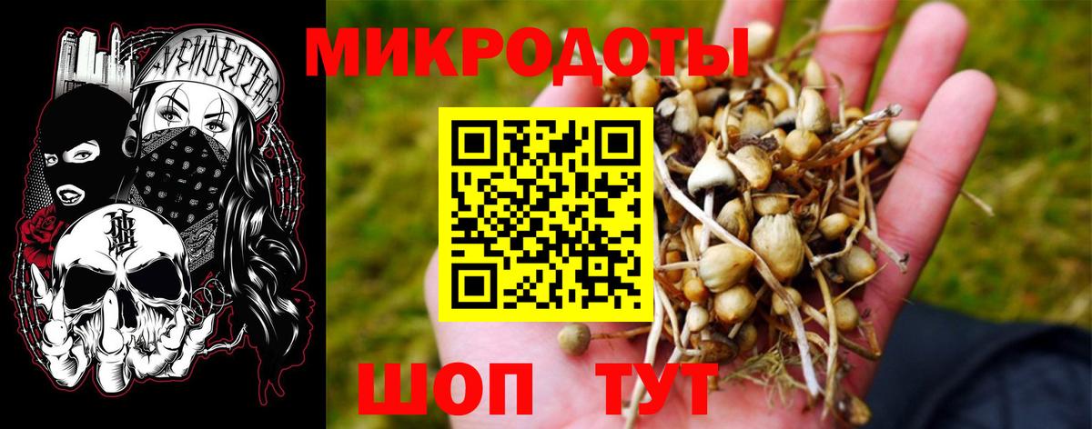 Псилоцибиновые грибы Magic Shrooms  Псилоцибиновые грибы мицелий  Владимир  Вход с VPN 